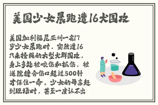 黑土腿法娴熟脚法精湛
